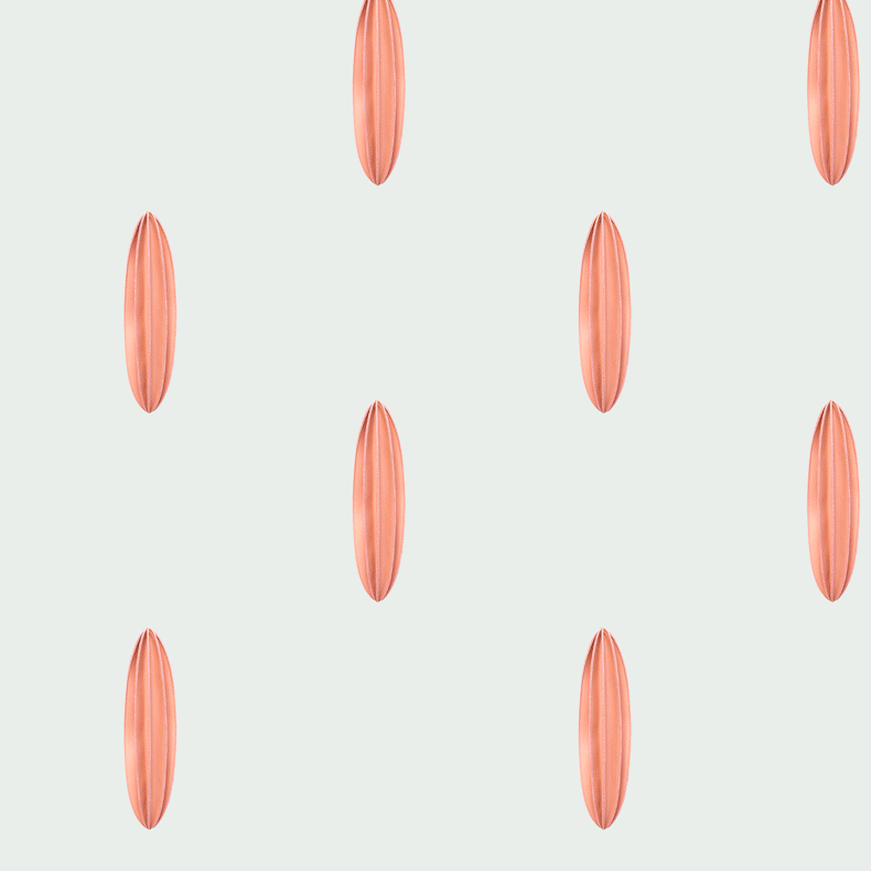 02 手机790 (4)GIF.gif